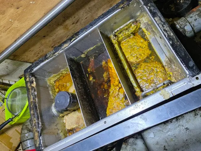 『飲食店オーナーも太鼓判！ 徹底的に綺麗にする清掃のプロ』サービスの画像