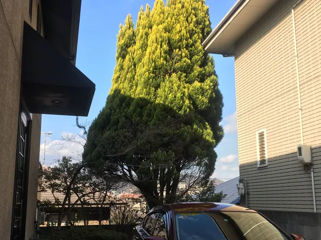 『造園施工管理技士』造園のプロが伺います！豊富な経験と知識で安心◎リピーター多しサービスの画像