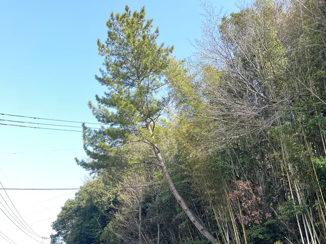 『造園施工管理技士』造園のプロが伺います！豊富な経験と知識で安心◎リピーター多しサービスの画像