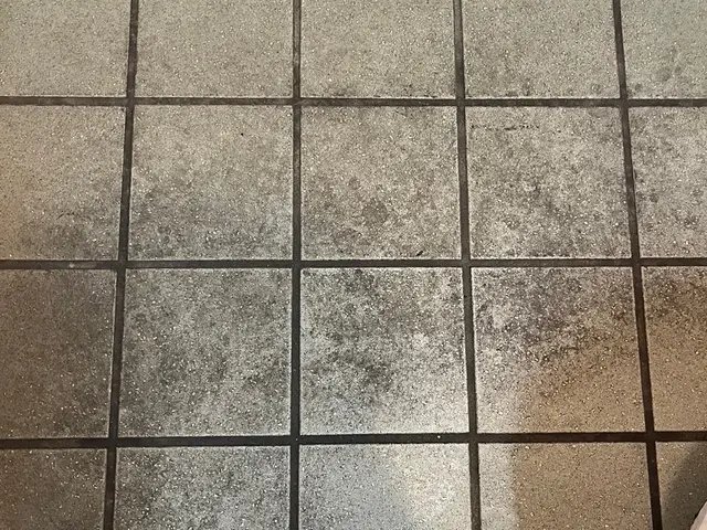 床洗浄・ワックスがけ（旧ワックスの剥離）サービスの画像