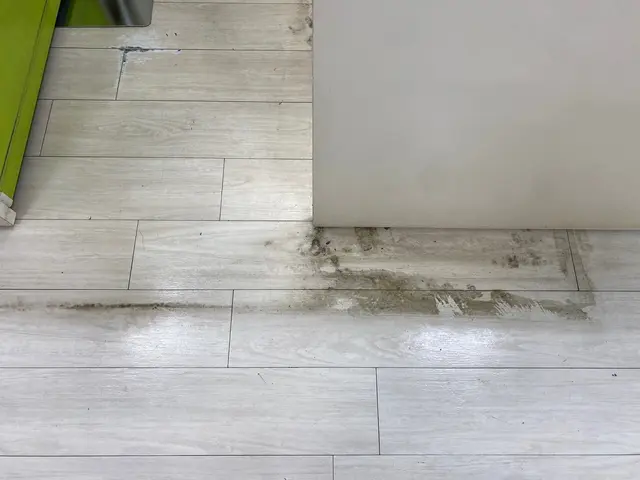 床洗浄・ワックスがけ（旧ワックスの剥離）サービスの画像