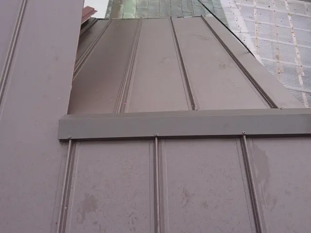 損害保険加入】雨漏り修理～葺き替えまで！　【台風、強風で破損、火災保険適用！】サービスの画像