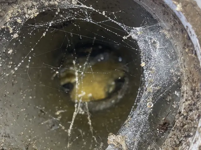 ◆青葉区発｜丁寧で誠実な排水管洗浄◆追加料金なしの“安心ワンプライス”サービスの画像