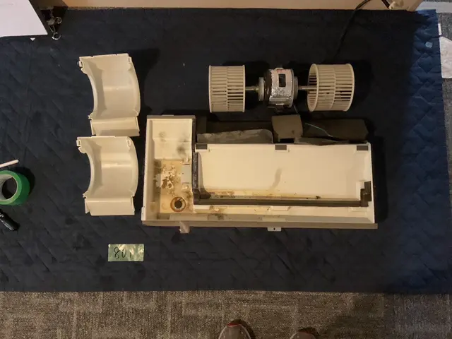 安心の法人運営！業界歴5年以上の確かな技術！写真の結果報告付きで安心サービスの画像