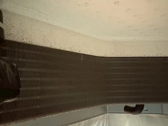 安心の法人運営！業界歴5年以上の確かな技術！写真の結果報告付きで安心サービスの画像