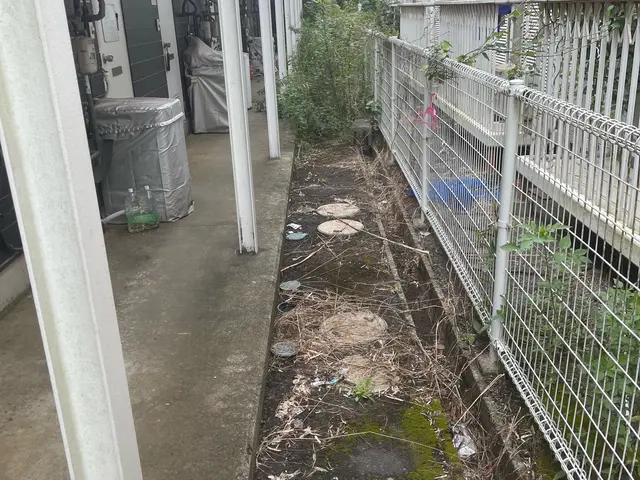 草刈り作業サービスの画像