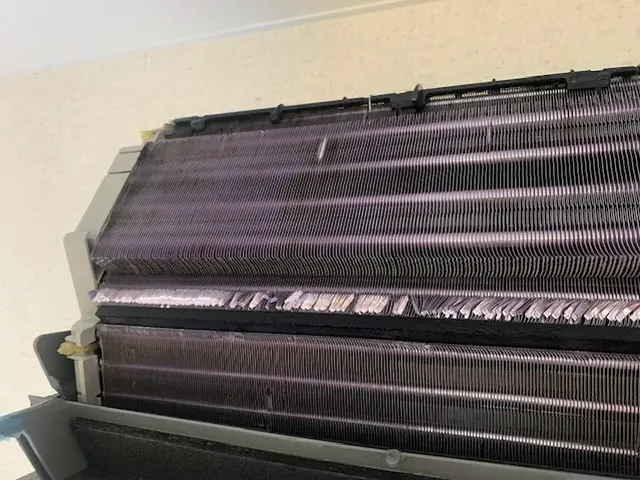 ☆気になる匂いは汚れから。完全分解で綺麗にしませんか？を税込6600円でのご案内サービスの画像