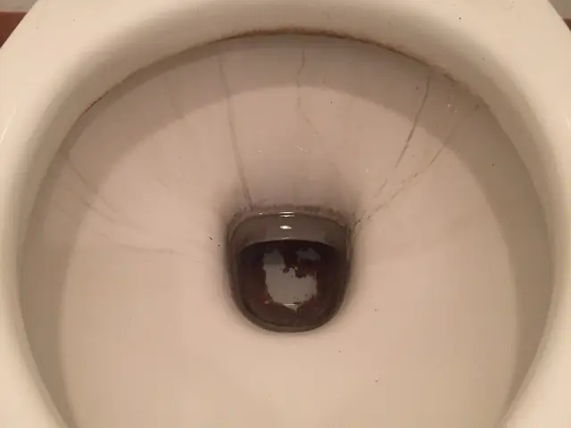 トイレ全体洗浄【フッ素コートサービス】【水垢尿石除去】【防汚】【業界歴20年】サービスの画像