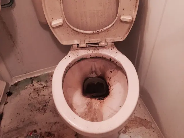 トイレ全体洗浄【フッ素コートサービス】【水垢尿石除去】【防汚】【業界歴20年】サービスの画像