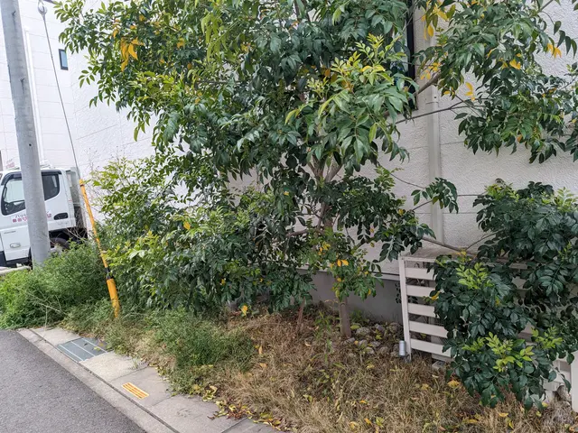 【実績15年】事前にご連絡頂くと女性スタッフ同行も可能です！作業外注なし◎サービスの画像