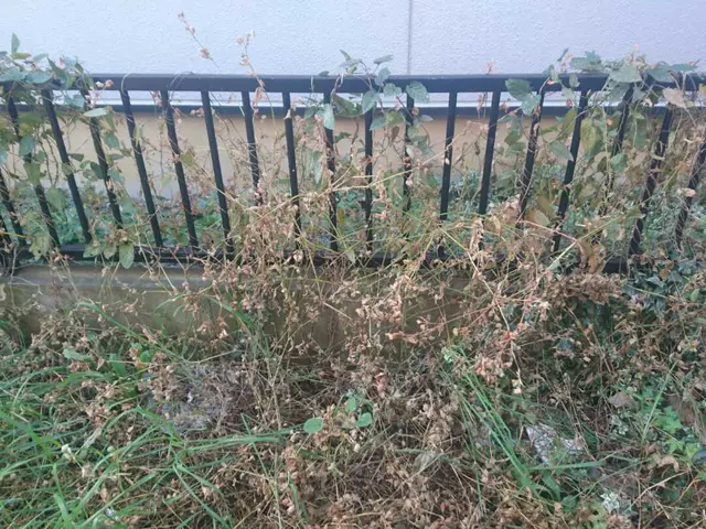 【実績15年】事前にご連絡頂くと女性スタッフ同行も可能です！作業外注なし◎サービスの画像