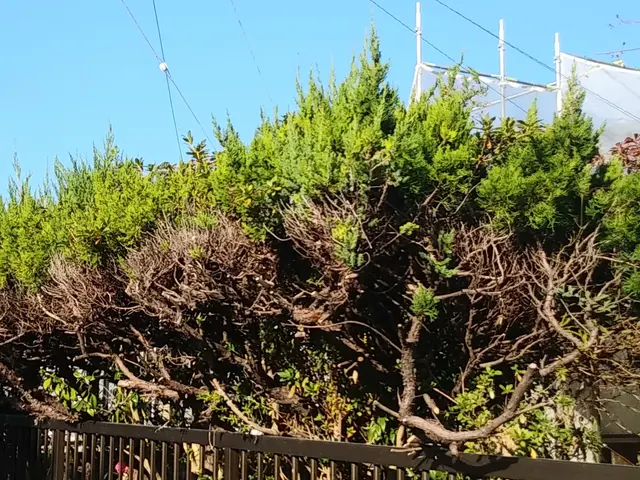 【女性スタッフの同行OK】業界歴16年の経験実績★駐車代は当店が負担します！サービスの画像