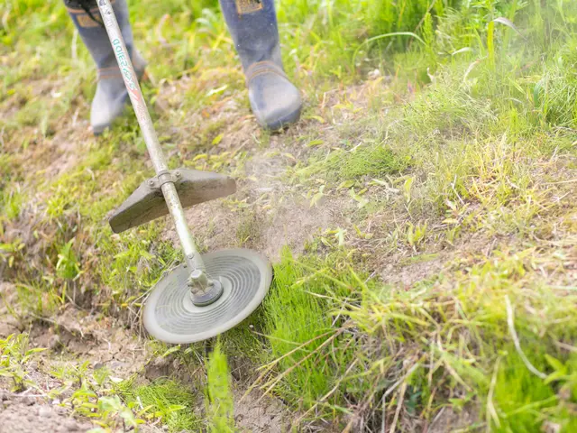 農業歴40年以上の父とその息子達の草刈りチーム【刈払機取扱作業者資格、取得】サービスの画像