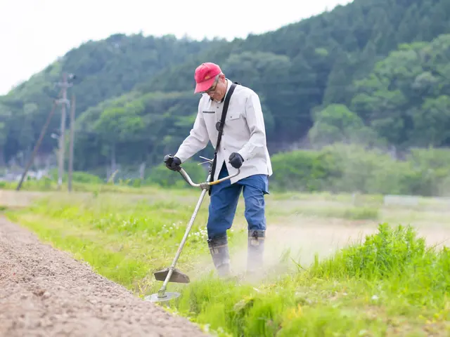 農業歴40年以上の父とその息子達の草刈りチーム【刈払機取扱作業者資格、取得】サービスの画像