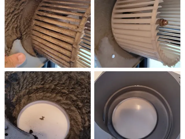 真のプロが行うクリーニングを体験されてみませんか？サービスの画像