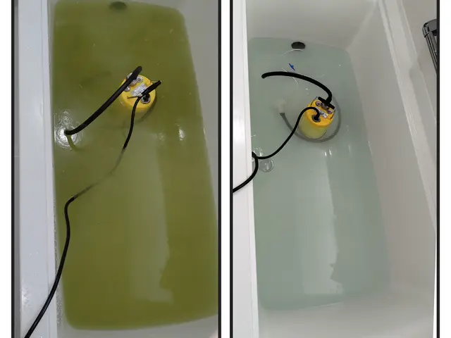 真のプロが行うクリーニングを体験されてみませんか？サービスの画像