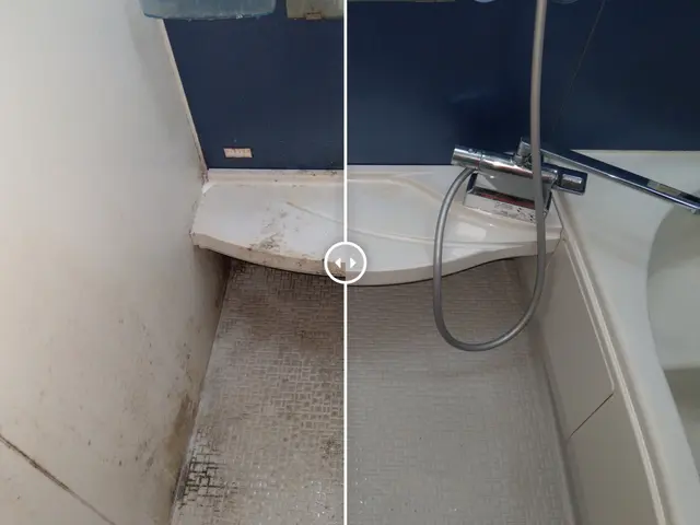 【徹底】【丁寧】【安心】カビ対策★年中無休★純粋に掃除のプロがお伺いします！サービスの画像