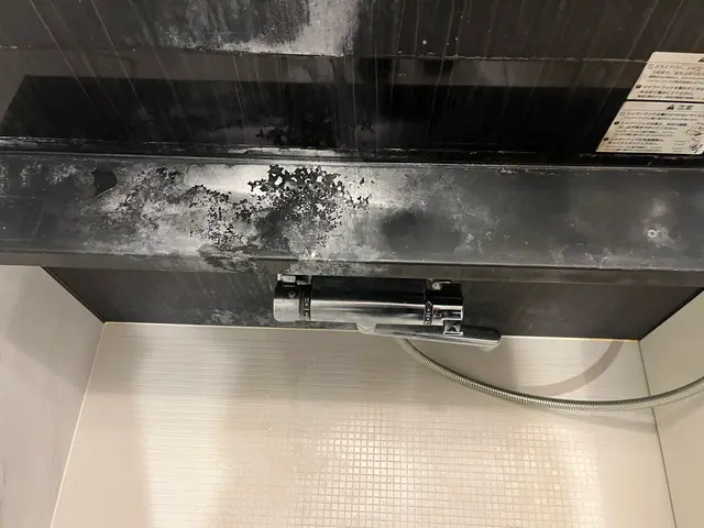 お客様の浴室汚れをさっぱり綺麗にクリーニングさせていだだけませんか？サービスの画像