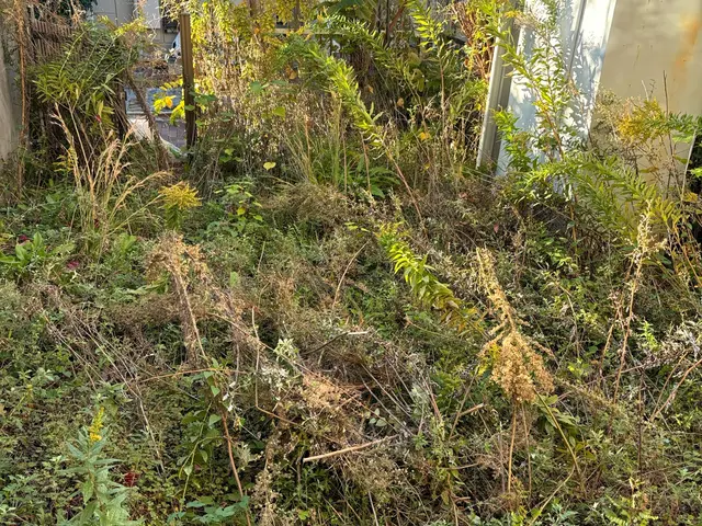 《年中無休》☆豊かな緑のお庭を☆豊緑園にお任せ下さい！ご自宅以外もご対応致しますサービスの画像