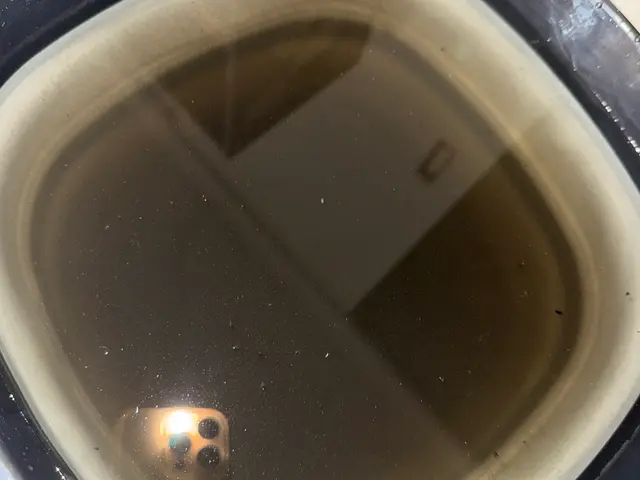 【365日24時間】春の割引実施中！(3.4月予約限定)子供やペットに安心施工！サービスの画像