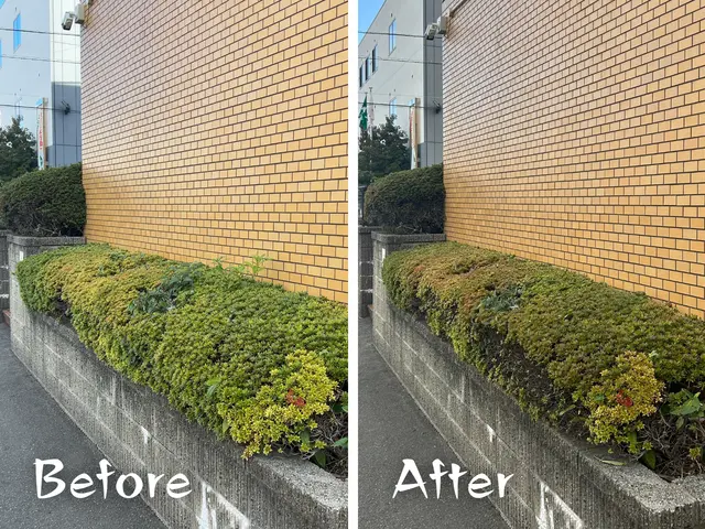 福岡県最安値に挑戦中！庭木１本〜OK！満足のいく作業を必ずお約束します！サービスの画像