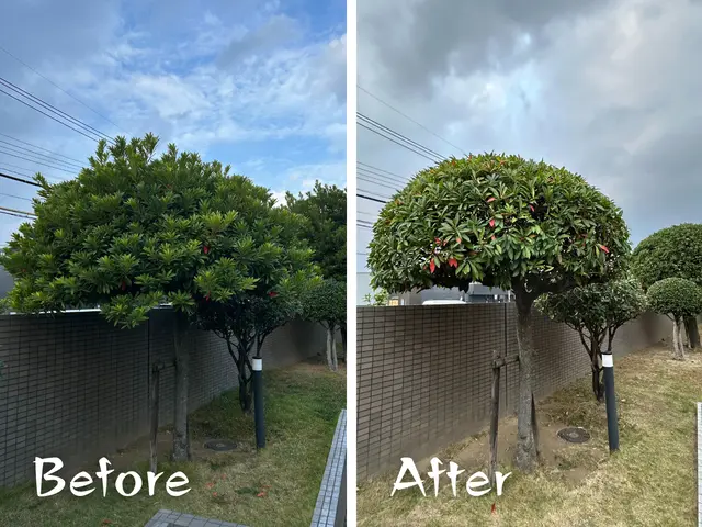 福岡県最安値に挑戦中！庭木１本〜OK！満足のいく作業を必ずお約束します！サービスの画像