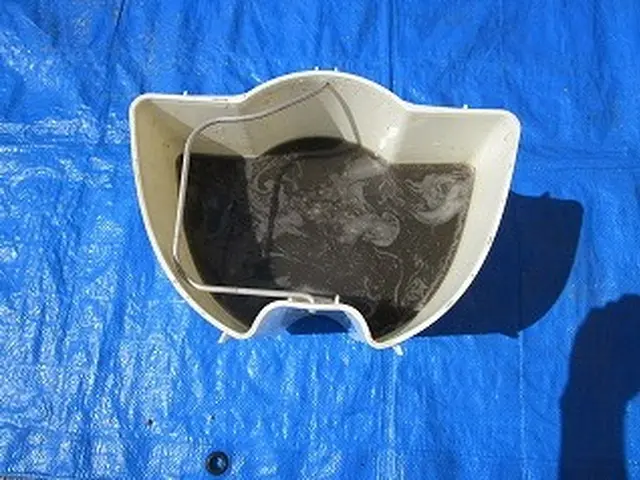 【丁寧な対応◎】車内クリーニング、アルカリイオン水でキレイにいたします。サービスの画像