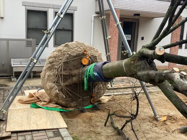 【業歴17年の経験と実績】対応地域外も対応OK！迅速丁寧に仕上げます！サービスの画像