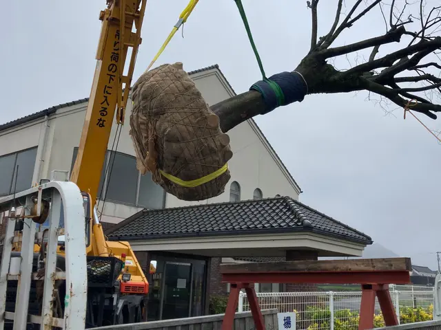 【業歴17年の経験と実績】対応地域外も対応OK！迅速丁寧に仕上げます！サービスの画像