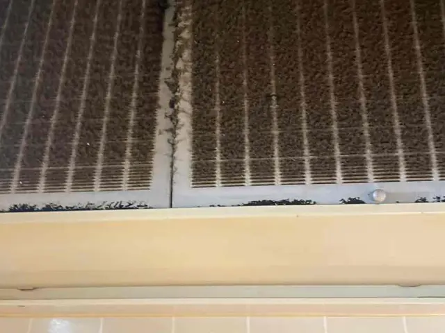 ★プロの技術で徹底洗浄★【安心の損害保険加入済み！】丁寧な作業と誠実な対応◎サービスの画像