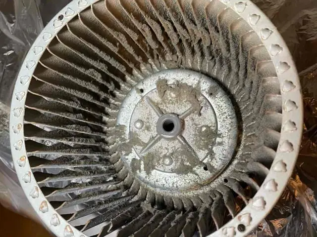 ★プロの技術で徹底洗浄★【安心の損害保険加入済み！】丁寧な作業と誠実な対応◎サービスの画像