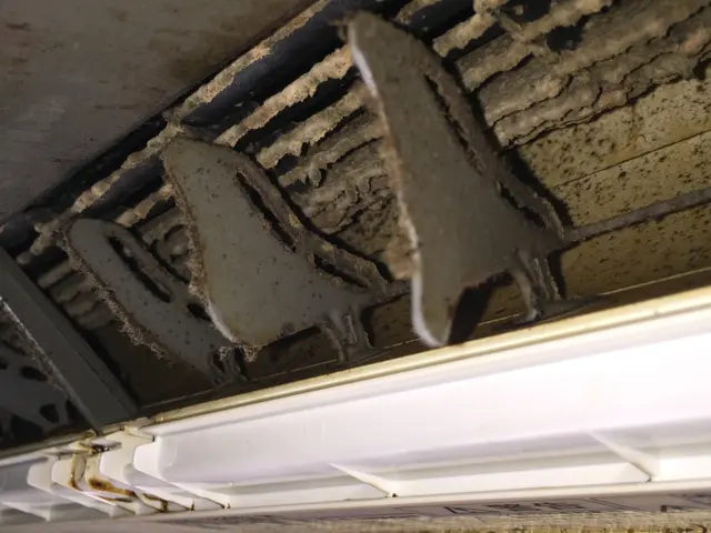 年間600台以上施工★28年間の経験と実績★女性スタッフ同行可★賠責保険加入サービスの画像