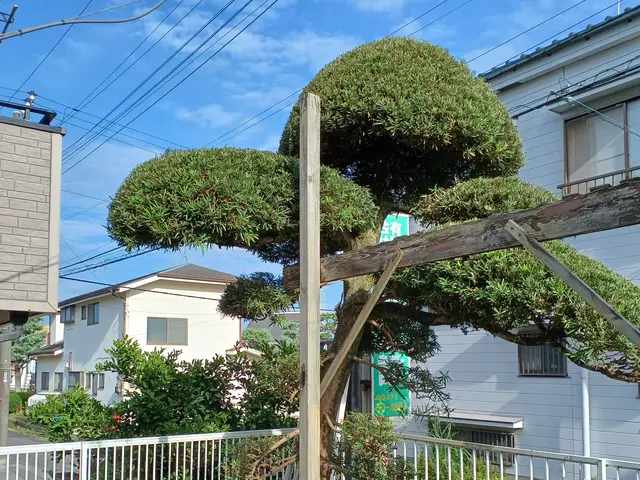 1月新出店｜個人宅からマンションまで対応◎サービスの画像