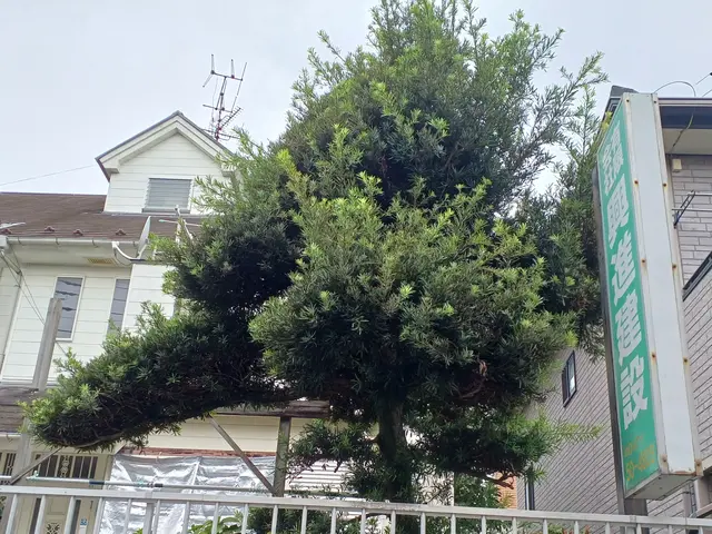 1月新出店｜個人宅からマンションまで対応◎サービスの画像