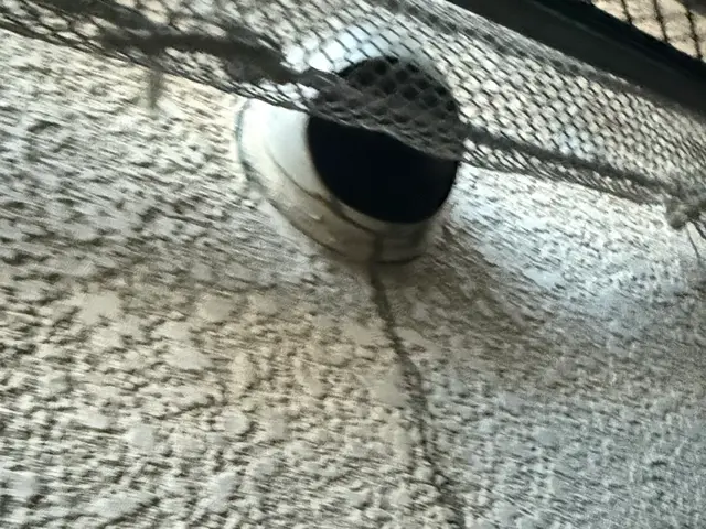 【住居宅向け】浴室トイレ洗面所換気扇・外の換気口などのダクト汚れを徹底除去！！サービスの画像