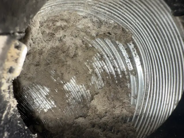 【住居宅向け】浴室トイレ洗面所換気扇・外の換気口などのダクト汚れを徹底除去！！サービスの画像