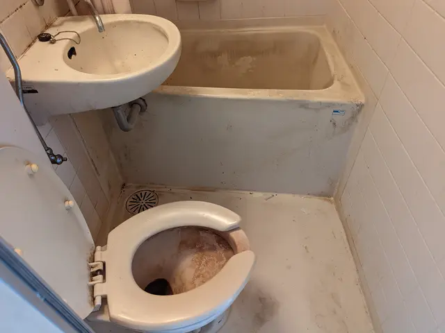 浴室をクリーニングでスッキリ〜！サービスの画像