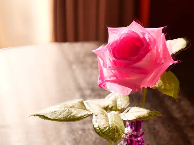 セミナーSNS用写真及び動画撮影