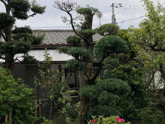 11年の実績と完全自社施工で安心の仕上がりをお約束しますサービスの画像