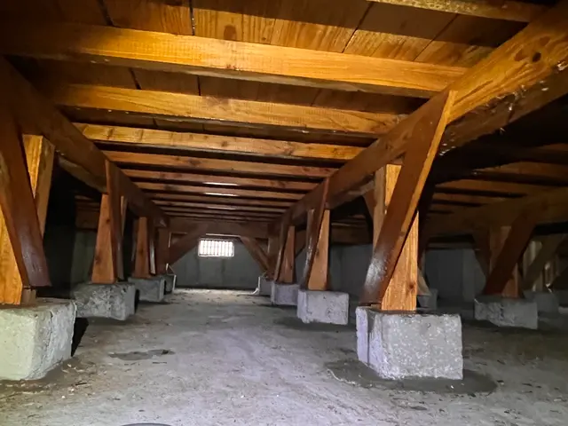 シロアリ　防除サービスの画像