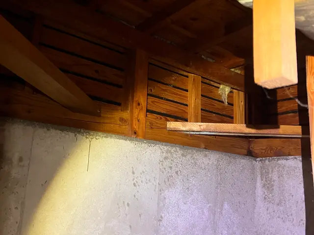 シロアリ　防除サービスの画像