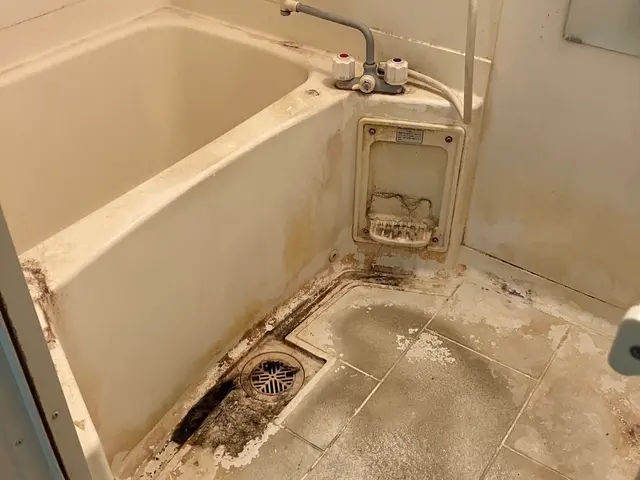 作業外注一切なし◎訪問時の駐車場代は当店が負担！保険加入済みで安心！サービスの画像