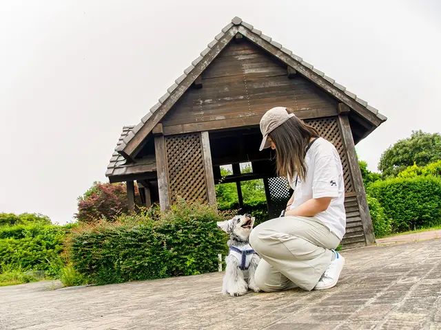【0.1秒の表情を逃さない】愛犬の最高の瞬間を一生の宝物に