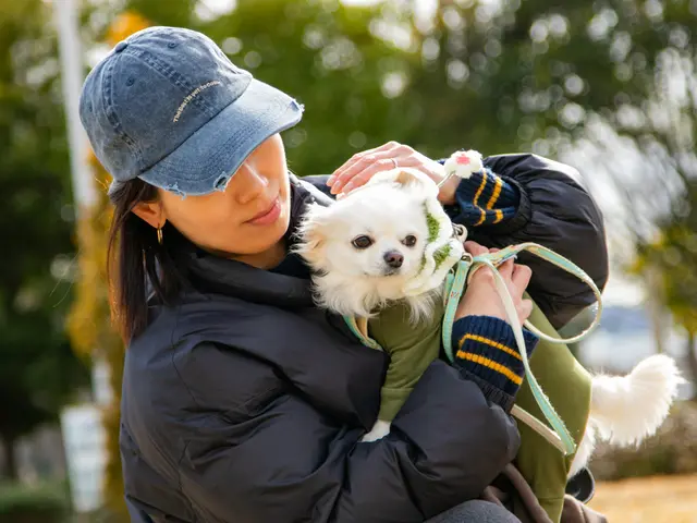 【0.1秒の表情を逃さない】愛犬の最高の瞬間を一生の宝物に