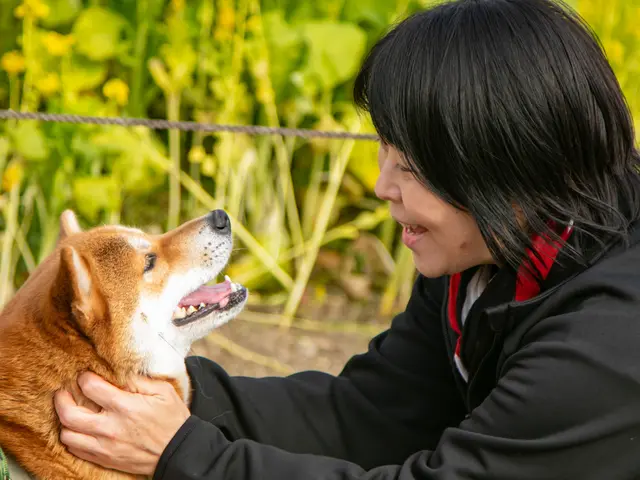 【0.1秒の表情を逃さない】愛犬の最高の瞬間を一生の宝物に