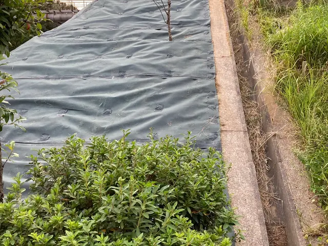 【職人歴24年の実績】予約から施工まで自社対応・アフターフォローも万全サービスの画像