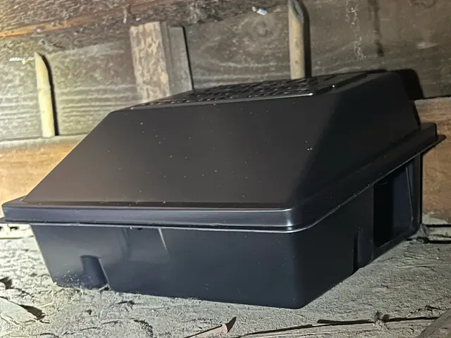 ◆調査お見積もり完全無料◆最短当日施工可能！侵入口徹底閉鎖&必ず完全駆除します！サービスの画像