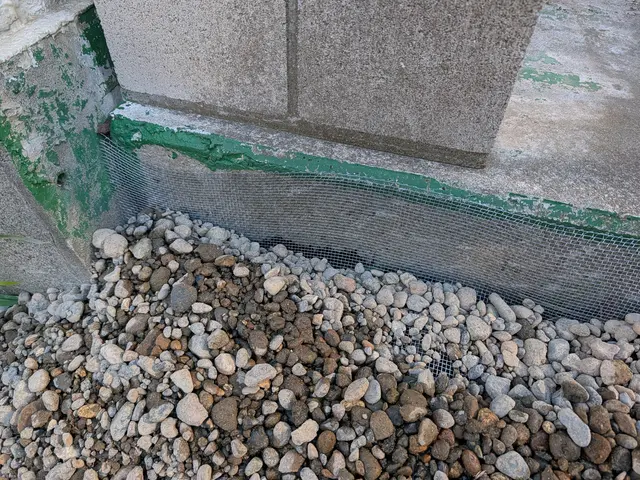 ◆調査お見積もり完全無料◆最短当日施工可能！侵入口徹底閉鎖&必ず完全駆除します！サービスの画像