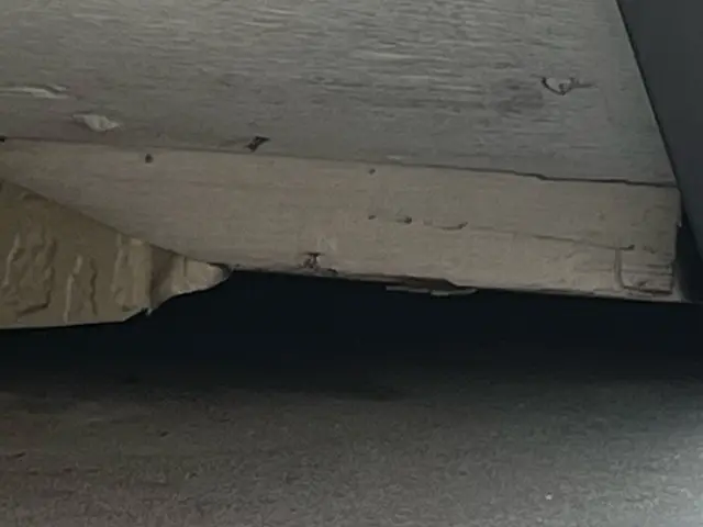 ◆調査お見積もり完全無料◆最短当日施工可能！侵入口徹底閉鎖&必ず完全駆除します！サービスの画像