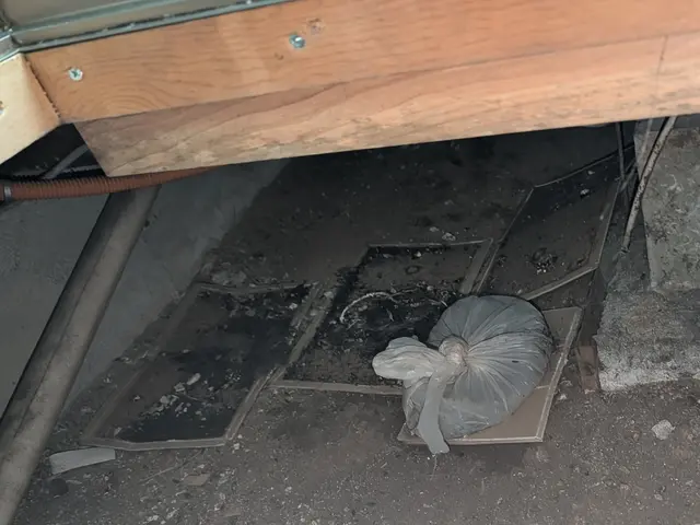 24H/最短当日施工可能！関東対応！侵入口徹底閉鎖&必ず完全駆除！業務用薬剤込みサービスの画像